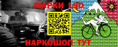 шишки Изобильный