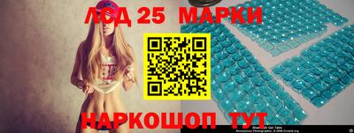 шишки Изобильный