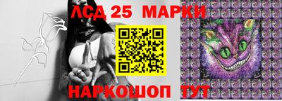 шишки Изобильный