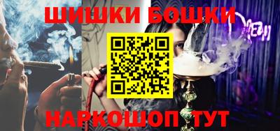 шишки Изобильный
