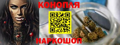 шишки Изобильный