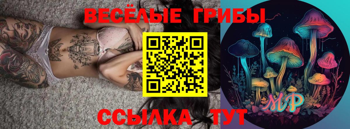 Галлюциногенные грибы Magic Shrooms  Вход с VPN  Кинель 